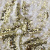 Трикотажное полотно, Сетка с пайетками, шир.130 см, #315, цв.-белый/золото - купить в Севастополе. Цена 693.39 руб.