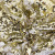Трикотажное полотно, Сетка с пайетками, шир.130 см, #315, цв.-белый/золото - купить в Севастополе. Цена 693.39 руб.