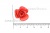 Украшение "Розы малые №1" 20мм - купить в Севастополе. Цена: 32.82 руб.