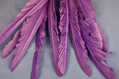 Декоративный Пучок из перьев, перо 25см/фиолетовый - купить в Севастополе. Цена: 12.19 руб.