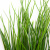 Трава искусственная -4, шт  (осока 50 см/8 см  7 листов)				 - купить в Севастополе. Цена: 130.73 руб.