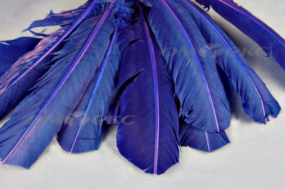 Декоративный Пучок из перьев, перо 23см/синий - купить в Севастополе. Цена: 12.34 руб.